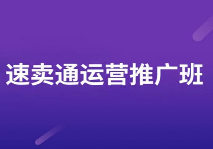 广东速卖通运营推广班